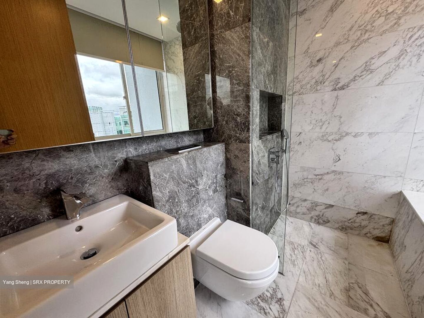 The Peak @ Cairnhill II (D9), Apartment #511577461